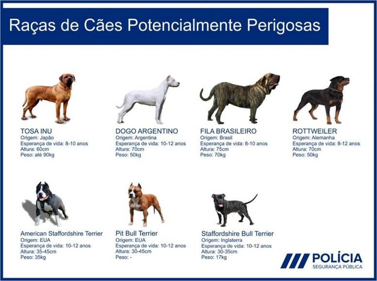 Formação para detentor de cão perigoso ou potencialmente perigoso